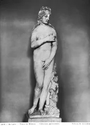 Vénus avec Éros chevauchant un dauphin